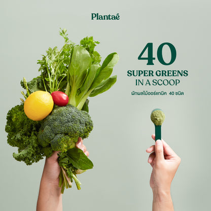 Whole Food Complex Powder - Complete Green