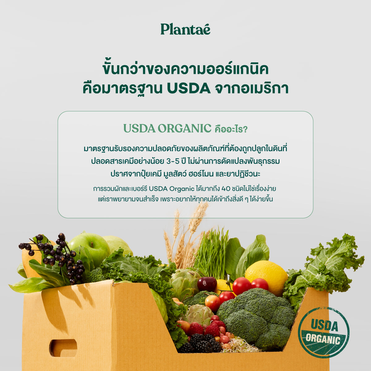 Whole Food Complex Powder - Complete Green (Box)