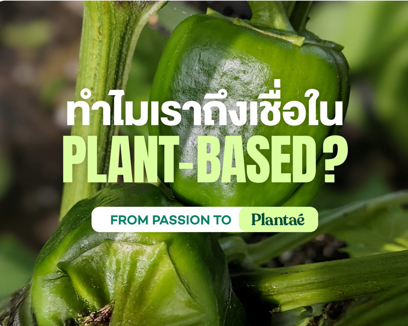 Why Plantae Plant Based