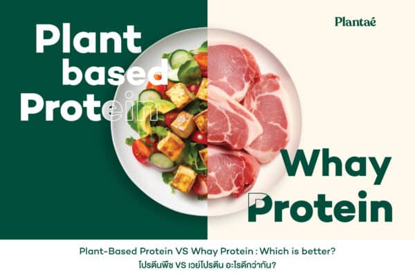 Plant-based Protein VS Whey Protein: Which is better?
