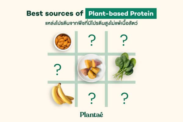 Get to know the best 6 sources of Plant-based Protein