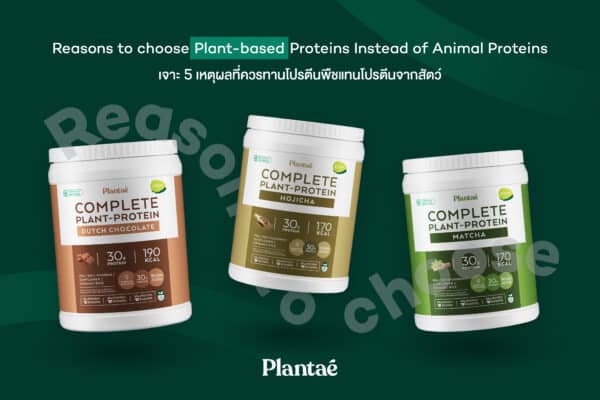 5 Reasons Why You Should Consume Plant-Based Proteins Instead of Animal Proteins